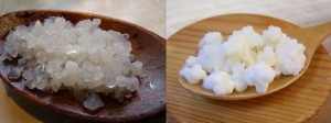 Water Kefir Grains and Milk Kefir Grains