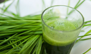 Wheatgrass Juice