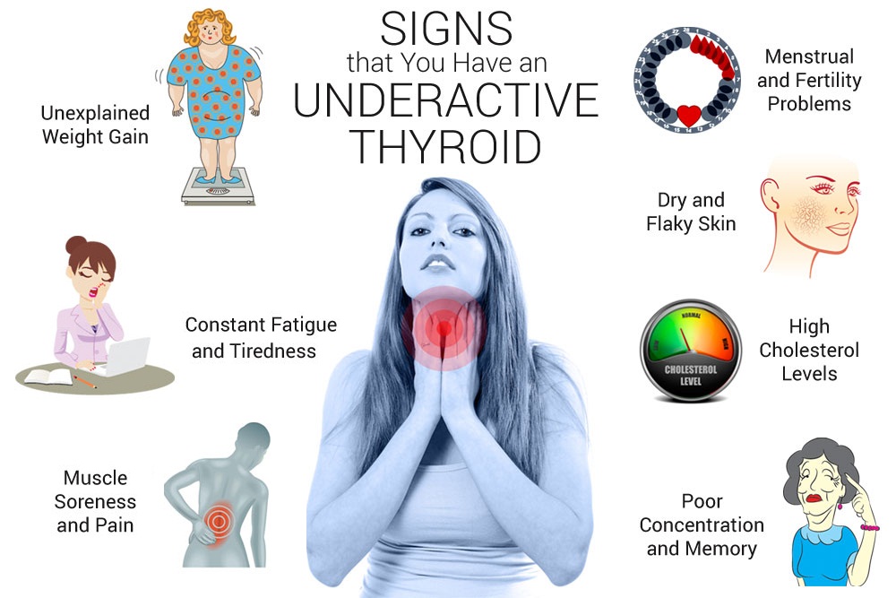 Underactive Thyroid Symptoms