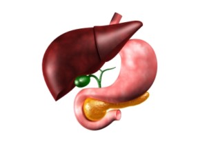 liver